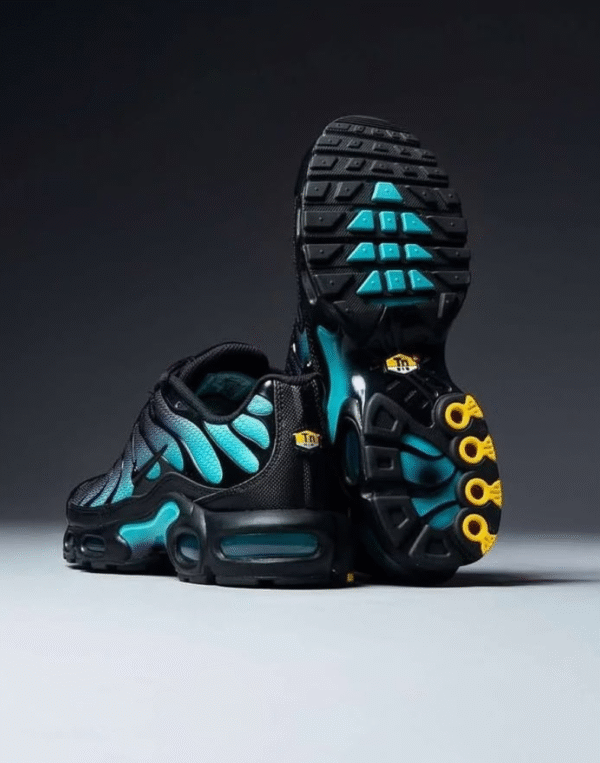 Nike Air Max Plus Black Dusty Cactus First Copy Shoes