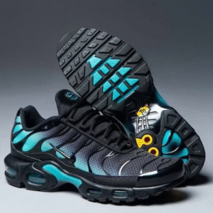Nike Air Max Plus Black Dusty Cactus First Copy Shoes